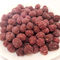 Ngon ngọt phổ biến Hương vị khoai lang ngọt ngào Đậu phộng phủ đậu phộng Ăn nhẹ lành mạnh Đậu phộng OEM KOSHER