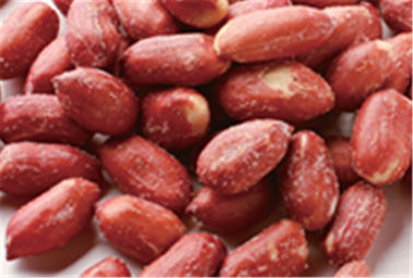 Bia Nuts Big Red Kẹo Tráng Đậu Phộng Hạt Nhân Khác Nhau Hương Vị HALAL Certifiaction