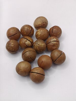Hạt Macadamia cao cấp với các vết nứt được mở trước để dễ dàng xẻ - Hạt nướng kem và bơ