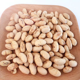 Kosher Halal Chứng nhận phủ ốm nướng cay vàng Edamame đậu nành đồ ăn nhẹ ISO được chấp thuận