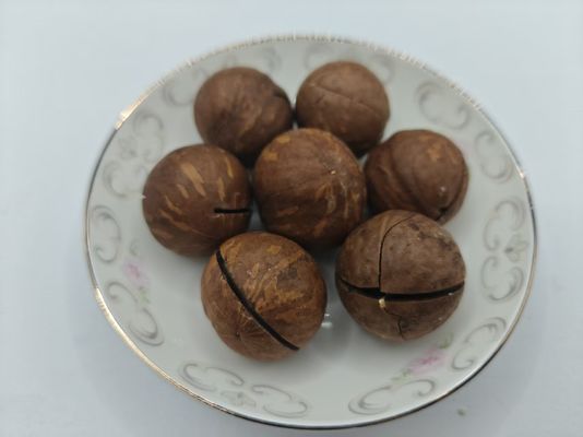 Hạt Macadamia