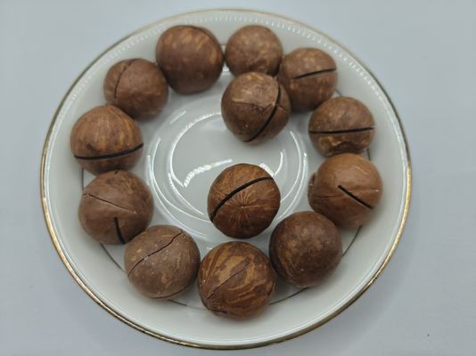 Hạt Macadamia