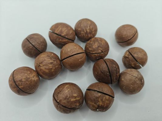 Hạt Macadamia