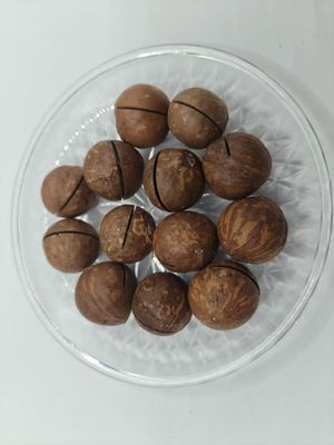 Hạt Macadamia