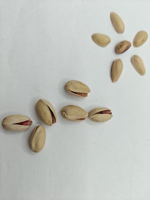 Bạch ngô nướng và muối trong vỏ