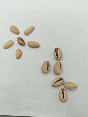 Bạch ngô nướng và muối trong vỏ