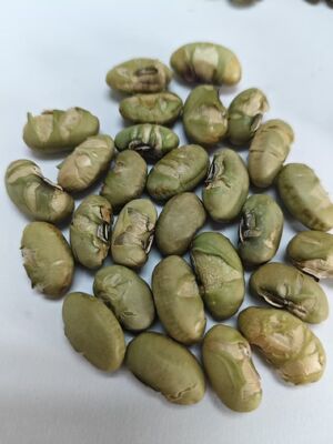 Bánh Snack Đậu Nành Hữu Cơ Giòn Tan Giàu Dinh Dưỡng, Giàu Protein, Lý Tưởng Cho Nhà Sản Xuất Thực Phẩm và Sản Phẩm Hướng Đến Sức Khỏe