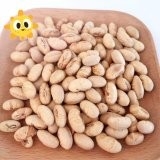 Kosher Halal Chứng nhận phủ ốm nướng cay vàng Edamame đậu nành đồ ăn nhẹ ISO được chấp thuận