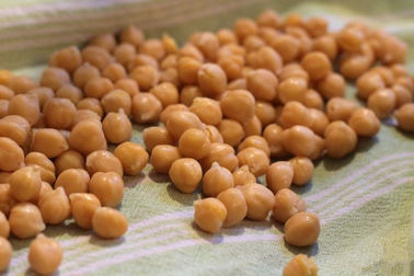 Hạt tiêu đen rang Chickpeas Snack, khô Chickpeas muối cao Nutritions