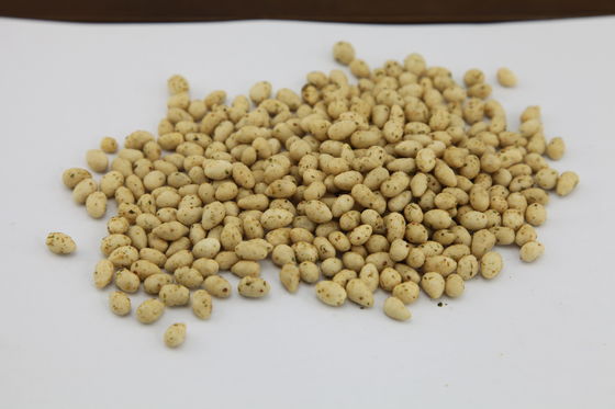 Hạt hướng dương được chứng nhận Kosher, Hạt hướng dương rang Hương vị thơm ngon