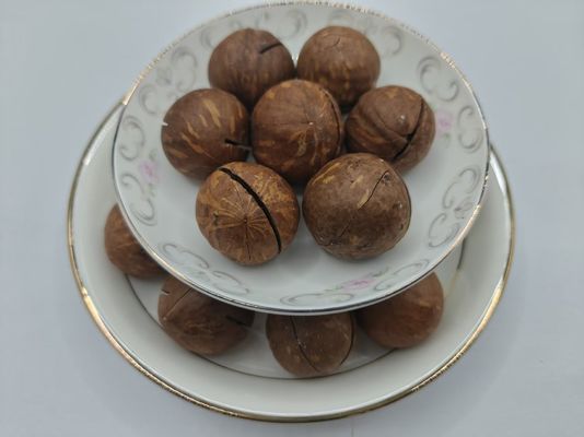 Hạt Macadamia